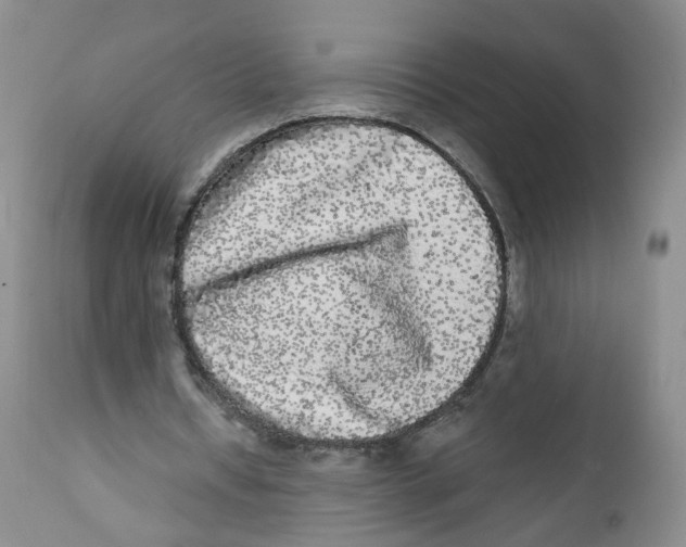 X0000112360434200909101301