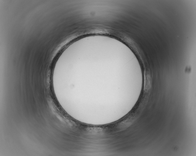 X0000112360435200909101301