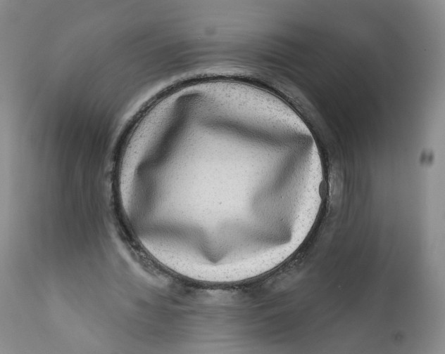 X0000112360436200909101301