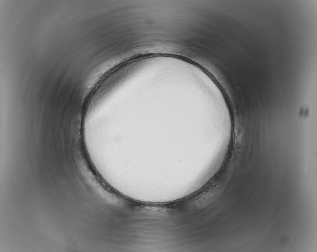 X0000112360437200909101301