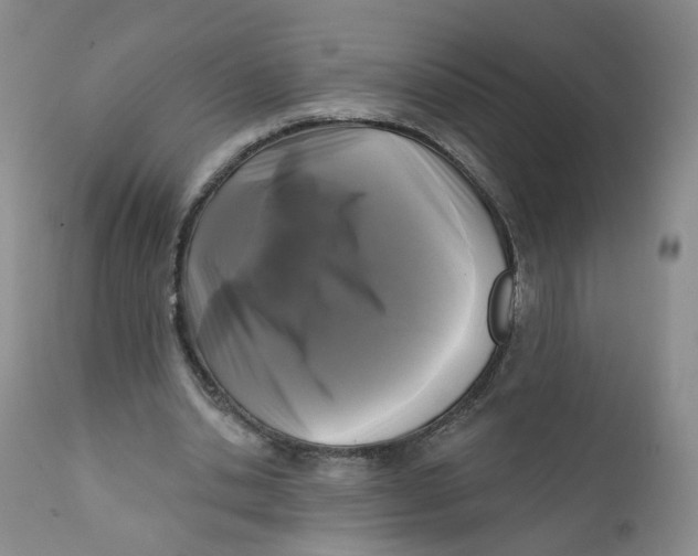 X0000112360438200909101301