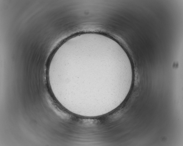 X0000112360439200909101301