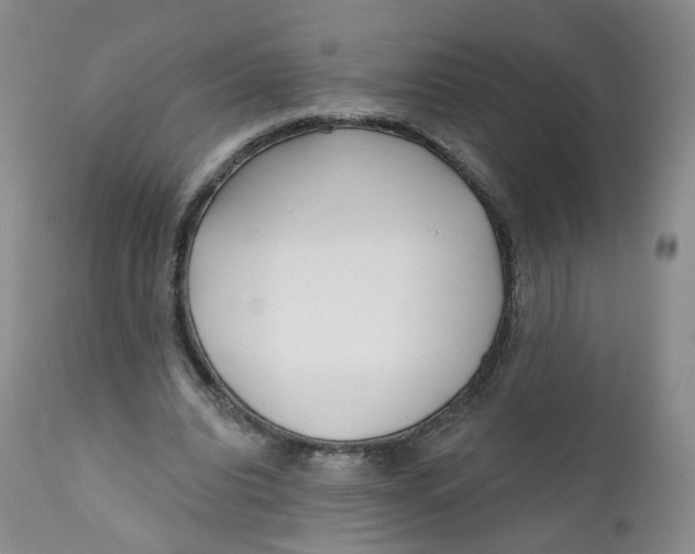X0000112360440200909101301