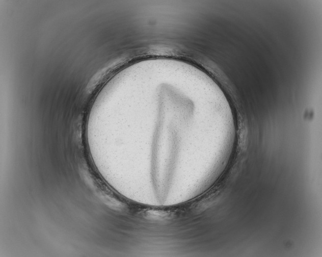 X0000112360442200909101301