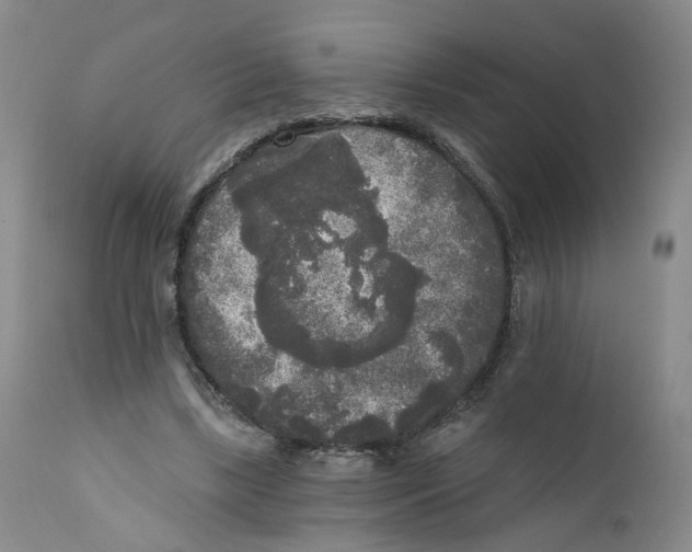 X0000112360443200909101301
