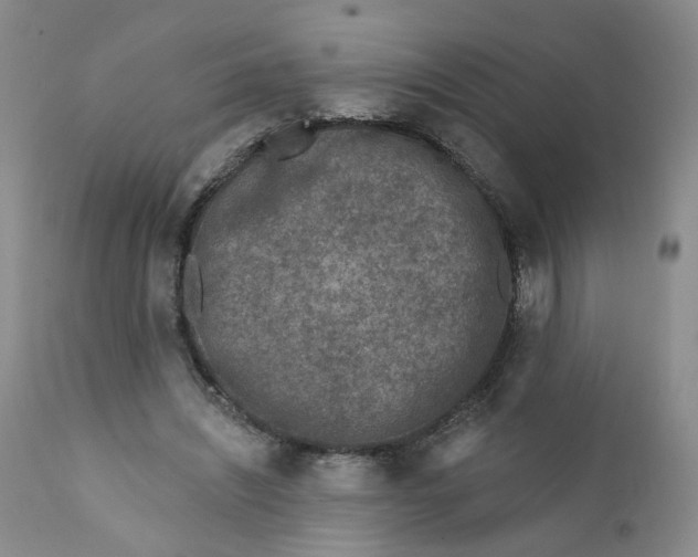 X0000112360444200909101301