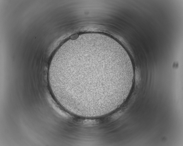 X0000112360445200909101301