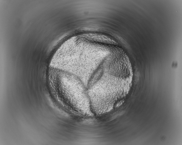 X0000112360446200909101301
