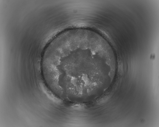 X0000112360447200909101301