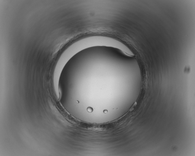X0000112360448200909101301