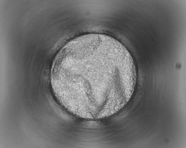 X0000112360449200909101301