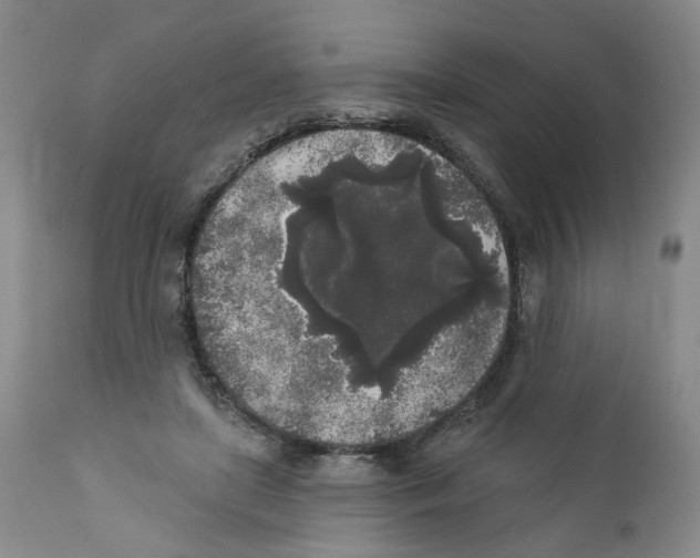 X0000112360451200909101301