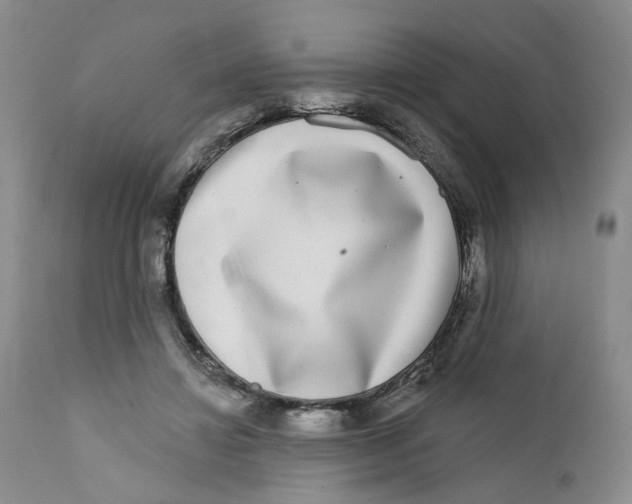 X0000112360452200909101301