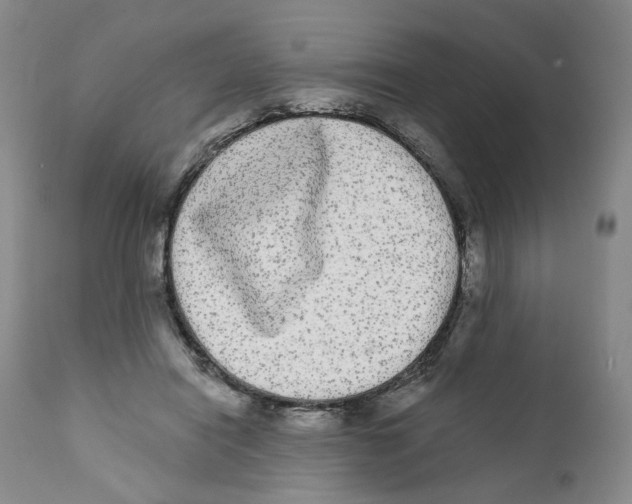 X0000112360454200909101301