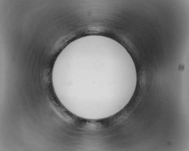 X0000112360455200909101301