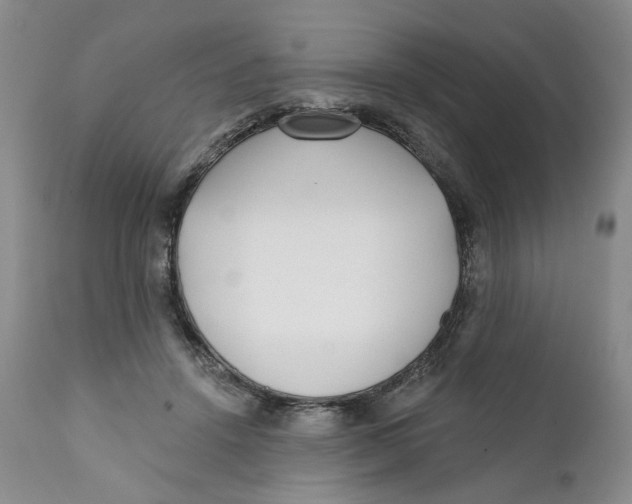X0000112360456200909101301