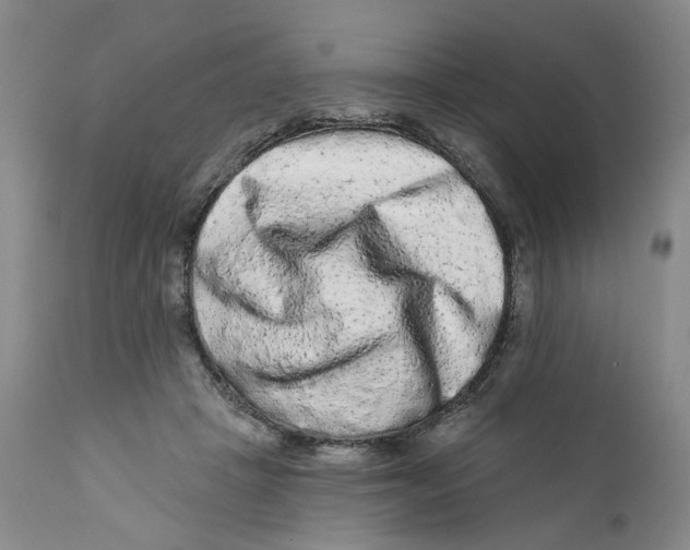 X0000112360457200909101301