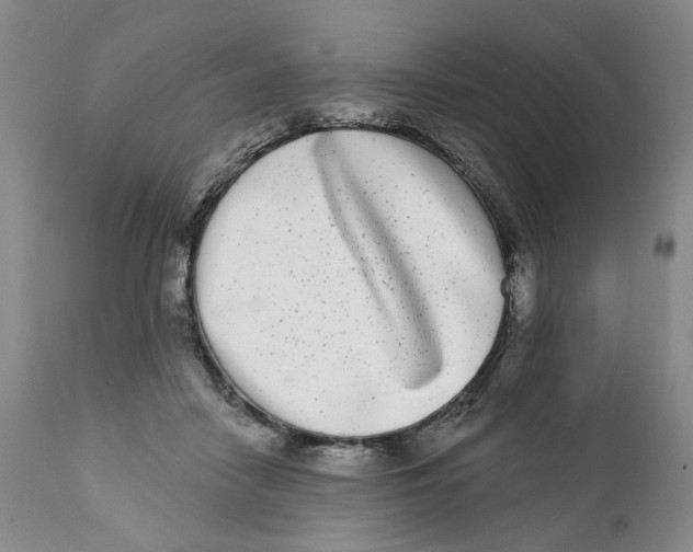 X0000112360458200909101301