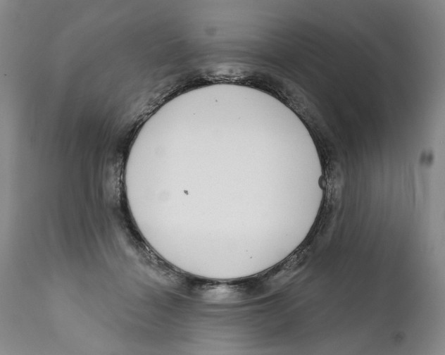 X0000112360460200909101301