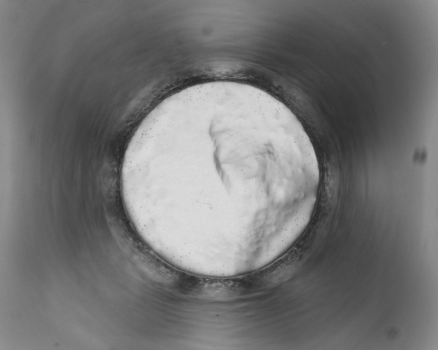 X0000112360461200909101301