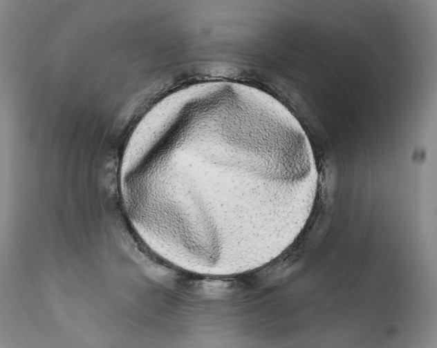 X0000112360462200909101301