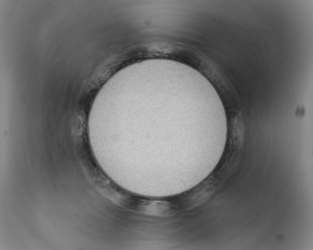 X0000112360463200909101301