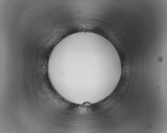 X0000112360464200909101301