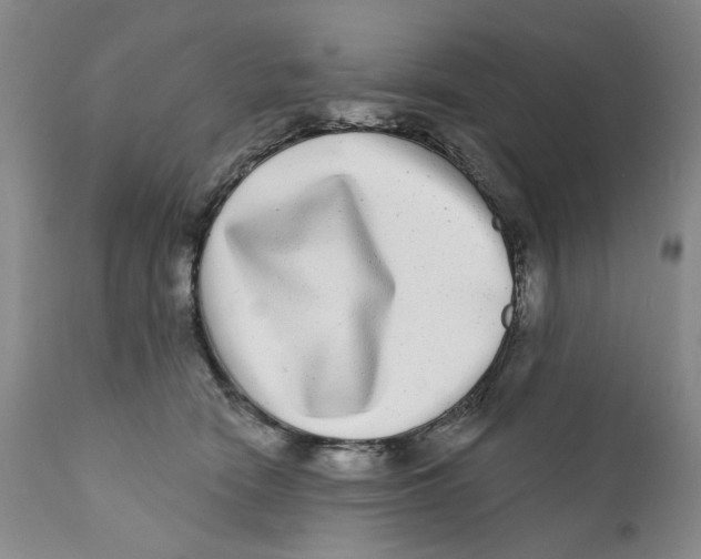 X0000112360466200909101301