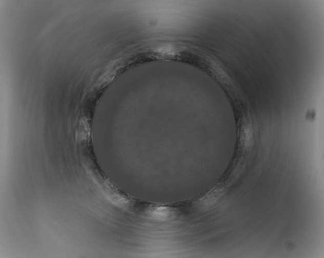 X0000112360467200909101301