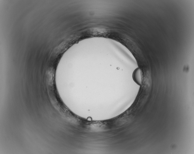 X0000112360468200909101301