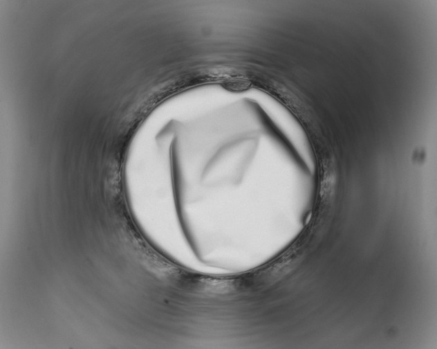 X0000112360469200909101301