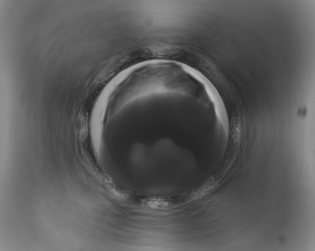 X0000112360471200909101301