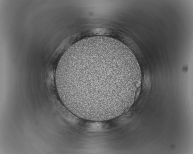 X0000112360473200909101301