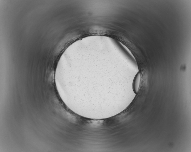X0000112360474200909101301