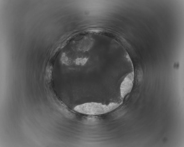 X0000112360475200909101301