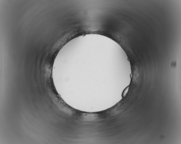 X0000112360476200909101301