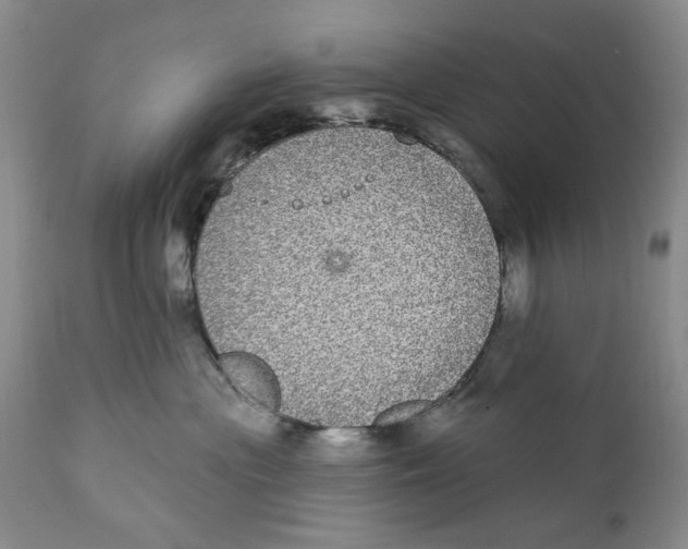 X0000112360477200909101301