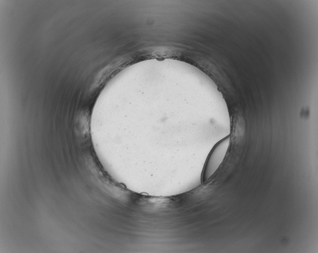 X0000112360478200909101301
