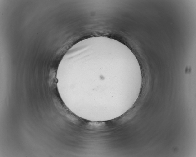 X0000112360480200909101301