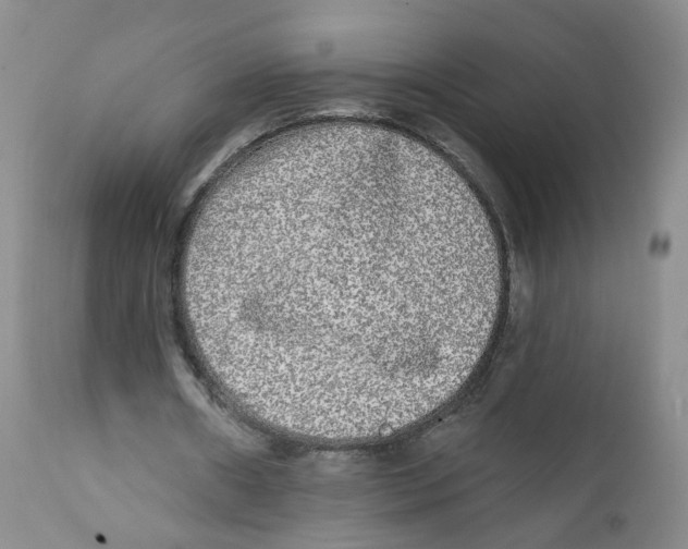 X0000112360482200909101301