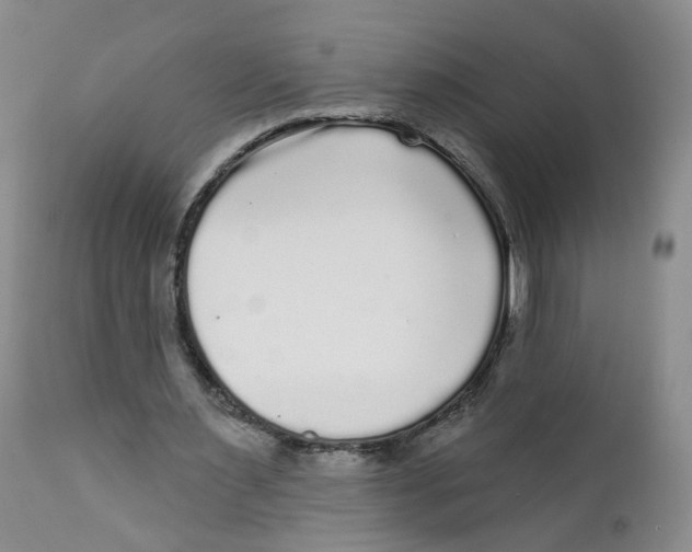 X0000112360483200909101301