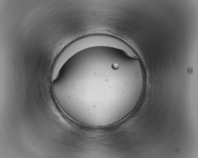 X0000112360485200909101301