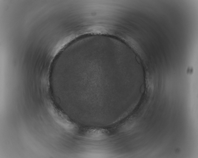 X0000112360488200909101301
