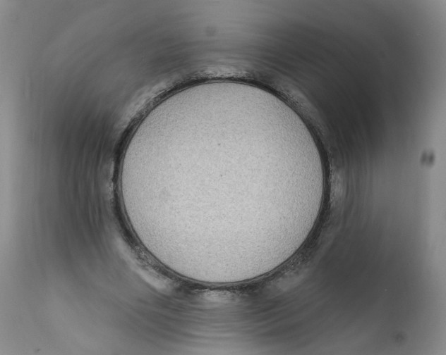 X0000112360490200909101301