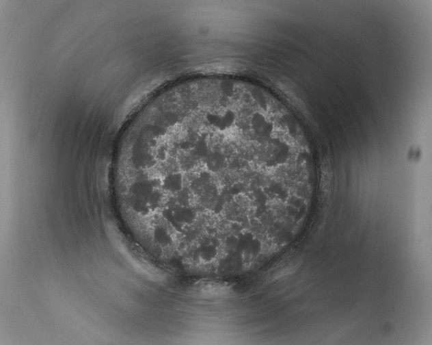 X0000112360491200909101300