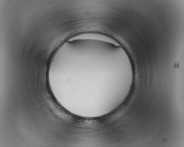 X0000112360493200909101300
