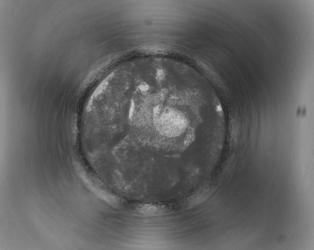 X0000112360494200909101300