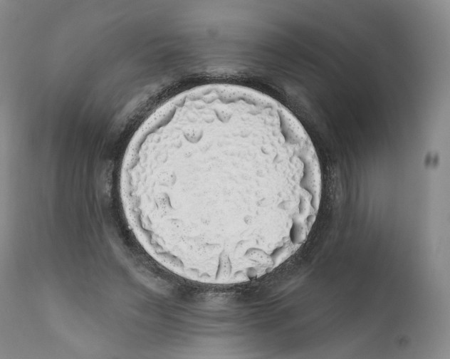 X0000112360495200909101300