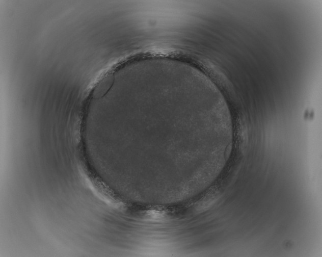 X0000112360496200909101300