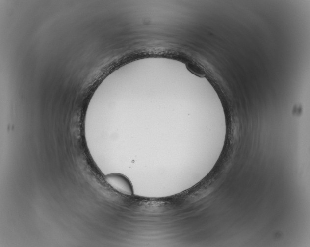 X0000112360497200909101300